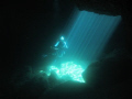   Ray Lights  